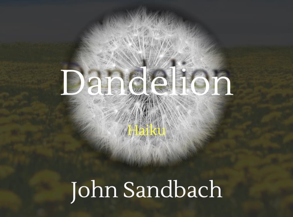 Cover of Dandelion